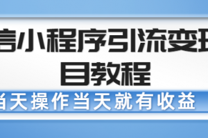 微信小程序引流变现项目教程，当天操作当天就有收益，变现不再是难事