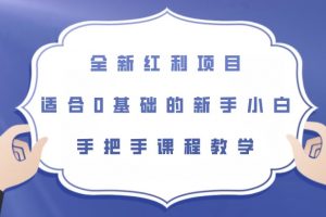 全新红利项目，适合0基础的新手小白，手把手课程教学【揭秘】