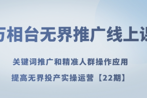 万相台无界推广线上课关键词推广和精准人群操作应用，提高无界投产实操运营【22期】