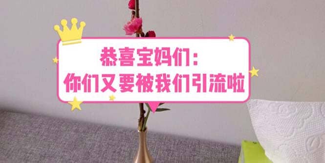 恭喜宝妈们：你们又要被我们引流了（教程+222g资料）