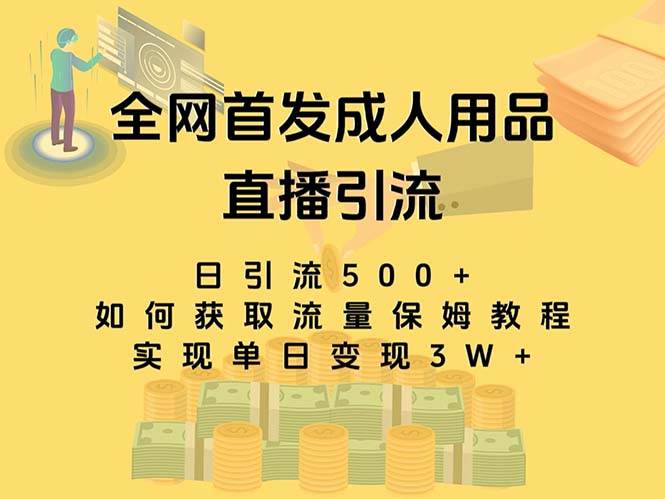 最新全网独创首发，成人用品直播引流获客暴力玩法，单日变现3w保姆级教程