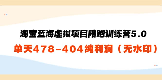 淘宝蓝海虚拟项目陪跑训练营5.0：单天478纯利润（无水印）插图