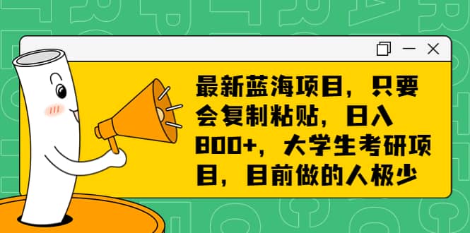 最新蓝海项目，只要会复制粘贴，日入800+，大学生考研项目，目前做的人极少