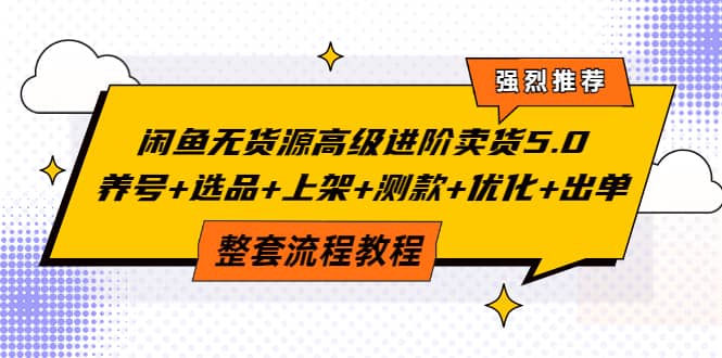 闲鱼无货源高级进阶卖货5.0，养号+选品+上架+测款+优化+出单整套流程教程