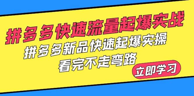 拼多多-快速流量起爆实战，拼多多新品快速起爆实操，看完不走弯路