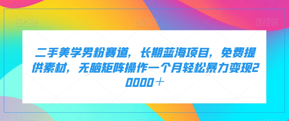 百家最新搬运玩法，单号月入5000+【揭秘】