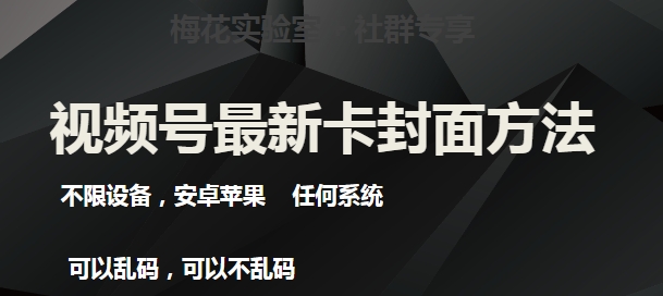 最新视频号直播卖惨乞讨玩法，流量嘎嘎滴，轻松日入300+