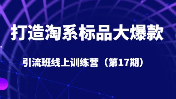 打造淘系标品大爆款引流班线上训练营5天直播授课