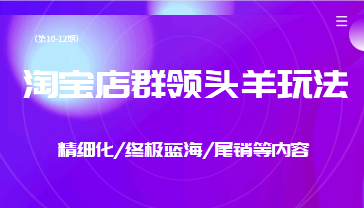 淘宝店群领头羊玩法，精细化/终极蓝海/尾销等内容