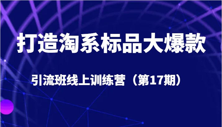 打造淘系标品大爆款引流班线上训练营5天直播授课+1个月答疑