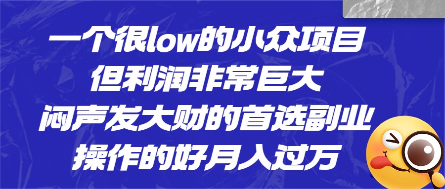 一个很low的小众项目，但利润非常巨大，闷声发大财的首选副业，操作的好月入过万