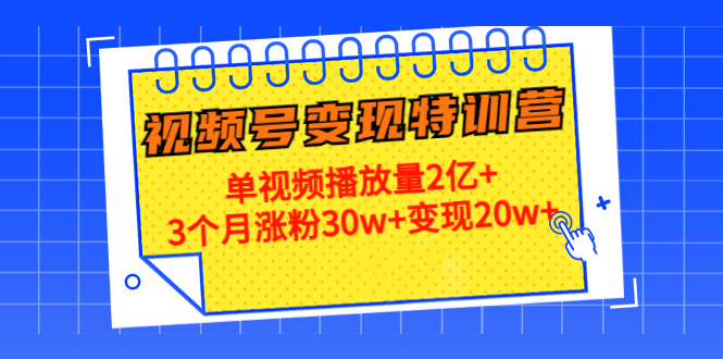 21天视频号变现特训营：单视频播放量2亿+3个月涨粉30w+变现20w+