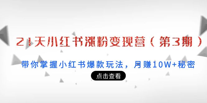 21天小红书涨粉变现营：带你掌握小红书爆款玩法，月赚10W+秘密