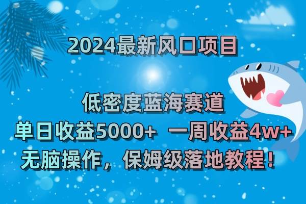 （8545期）2024最新风口项目 低密度蓝海赛道，日收益5000+周收益4w+ 无脑操作，保…插图1