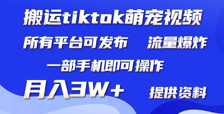 （9618期）搬运Tiktok萌宠类视频，一部手机即可。所有短视频平台均可操作，月入3W+