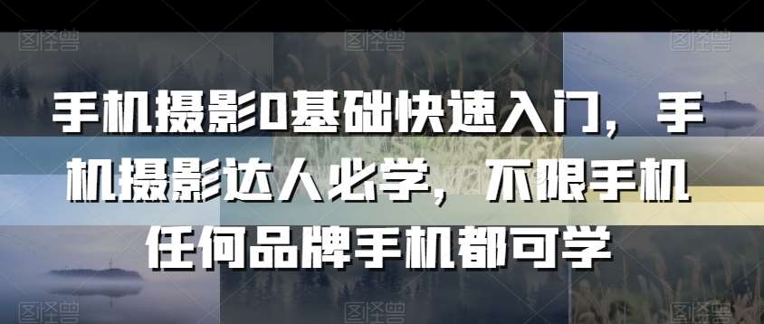 手机摄影0基础快速入门，手机摄影达人必学，不限手机任何品牌手机都可学