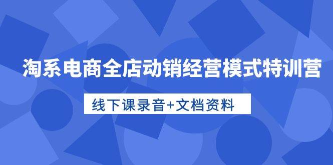 （10192期）淘系电商全店动销经营模式特训营，线下课录音+文档资料