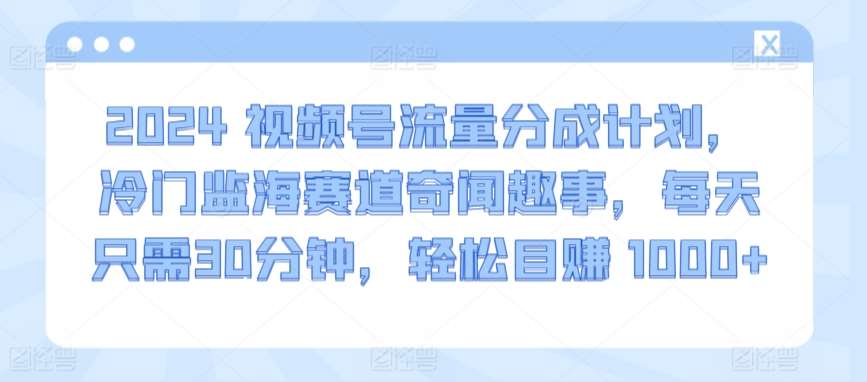 2024视频号流量分成计划，冷门监海赛道奇闻趣事，每天只需30分钟，轻松目赚 1000+【揭秘】