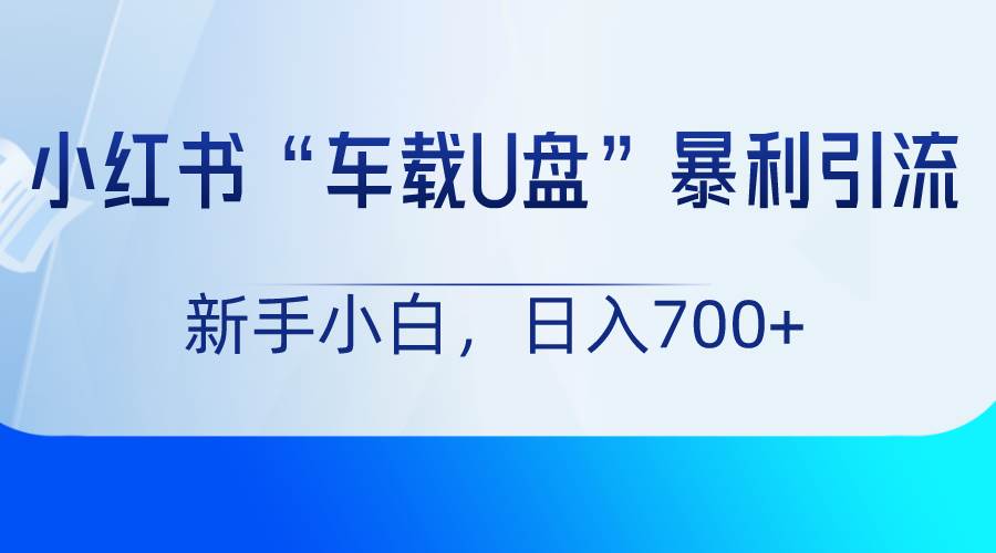 小红书“车载U盘”项目，暴利引流，新手小白轻松日入700+