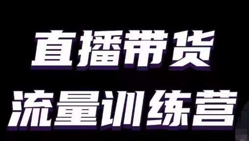 直播带货流量训练营，小白主播必学直播课