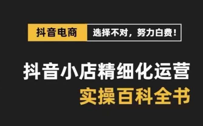 （8380期）抖音小店 精细化运营-百科全书，保姆级运营实战讲解（28节课）