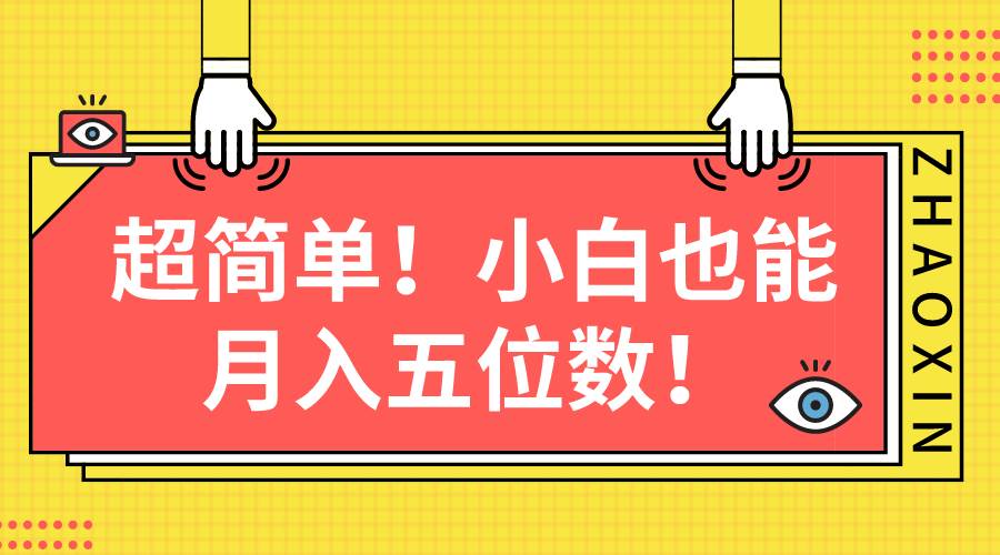 （10257期）超简单图文项目！小白也能月入五位数