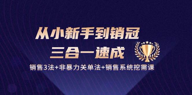 （10799期）从小新手到销冠 三合一速成：销售3法+非暴力关单法+销售系统挖需课 (27节)