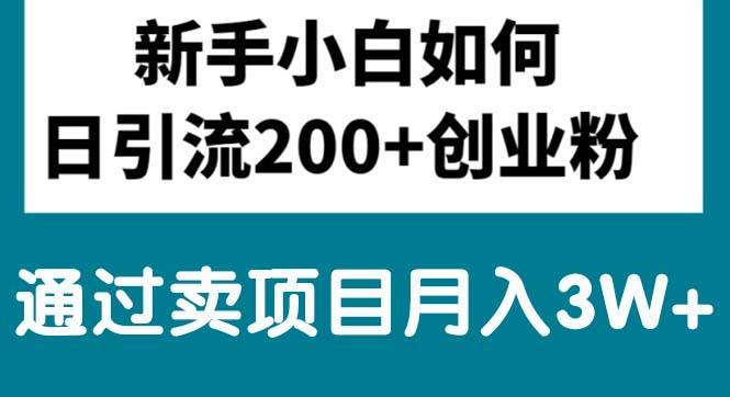 （10843期）新手小白日引流200+创业粉,通过卖项目月入3W+