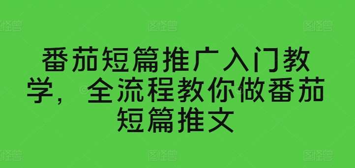 番茄短篇推广入门教学，全流程教你做番茄短篇推文