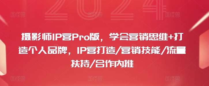 摄影师IP营Pro版，学会营销思维+打造个人品牌，IP营打造/营销技能/流量扶持/合作内推插图