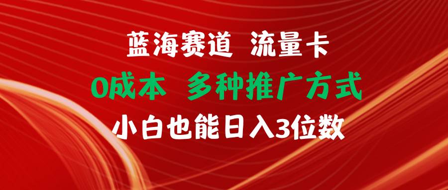 （11768期）蓝海赛道 流量卡 0成本 小白也能日入三位数插图