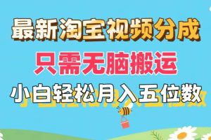 （11744期）最新淘宝视频分成，只需无脑搬运，小白也能轻松月入五位数，可矩阵批量…