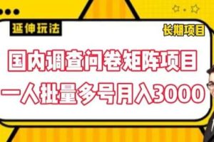 国内调查问卷矩阵项目，一人批量多号月入3000【揭秘】