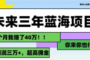 （11716期）未来三年，蓝海赛道，月入3万+