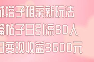 同城搭子相亲新玩法一篇帖子引流80人当日变现3600元(项目教程+实操教程)【揭秘】