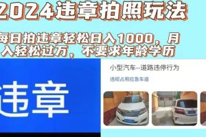 （11743期）2024违章拍照新玩法，推广躺赚+拍照赚钱双模式，日入1000+