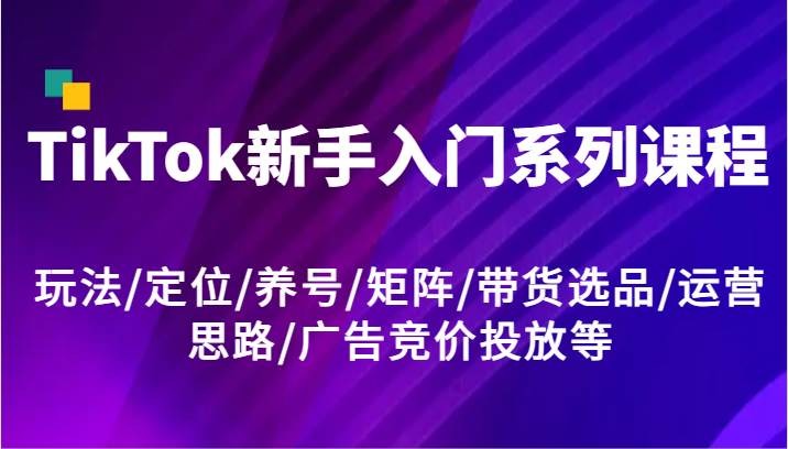 TikTok新手入门系列课程，玩法/定位/养号/矩阵/带货选品/运营思路/广告竞价投放等插图