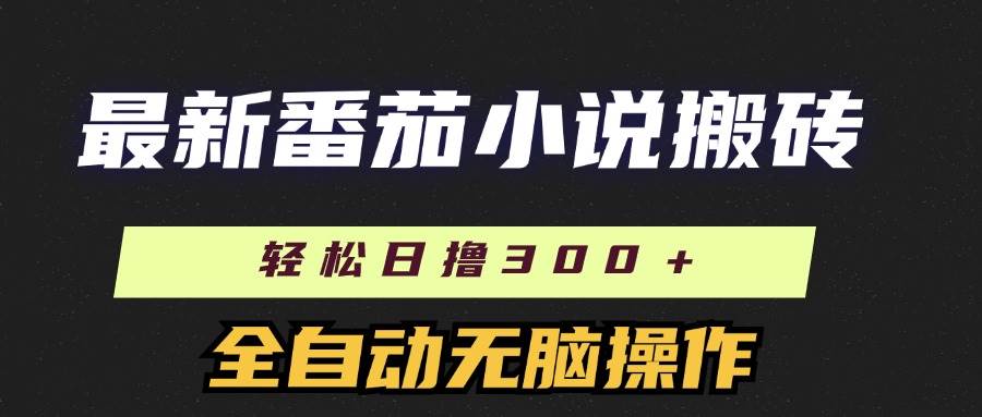 （11904期）最新番茄小说搬砖，日撸300＋！全自动操作，可矩阵放大插图