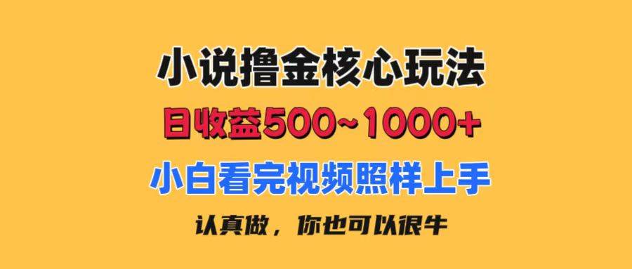 （11461期）小说撸金核心玩法，日收益500-1000+，小白看完照样上手，0成本有手就行