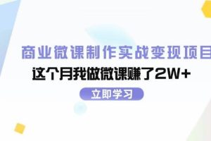 （11959期）商业微课制作实战变现项目，这个月我做微课赚了2W+