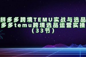 （11934期）拼多多跨境TEMU实战与选品，多多temu跨境选品运营实操（33节）