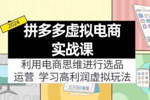 （12025期）拼多多虚拟电商实战课：虚拟资源选品+运营，高利润虚拟玩法（更新14节）