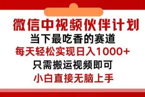 （12017期）微信中视频伙伴计划，仅靠搬运就能轻松实现日入500+，关键操作还简单，…