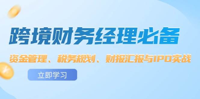 （12323期）跨境 财务经理必备：资金管理、税务规划、财报汇报与IPO实战