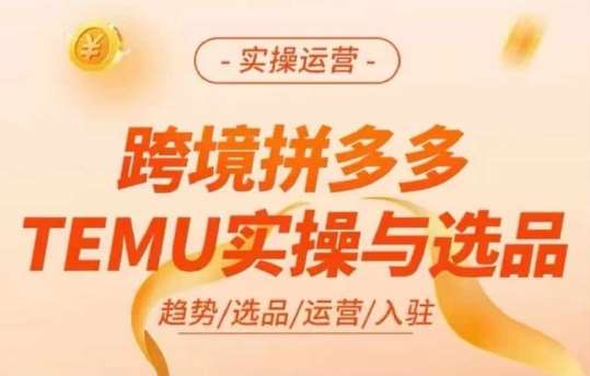 跨境拼多多TEMU实操与选品，多多temu跨境选品运营实操插图