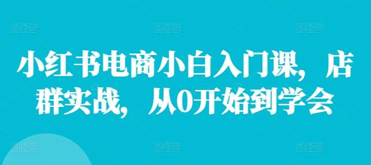 小红书电商小白入门课，店群实战，从0开始到学会插图