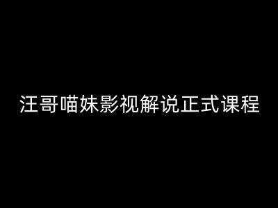 汪哥影视解说正式课程：剪映/PR教学/视解说剪辑5大黄金法则/全流程剪辑7把利器等等插图