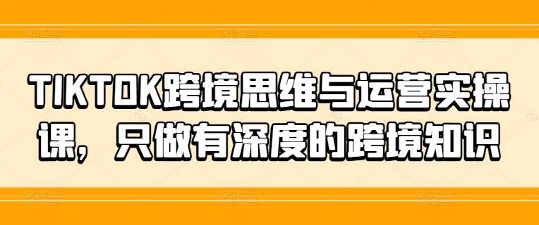 TIKTOK跨境思维与运营实操课，只做有深度的跨境知识插图