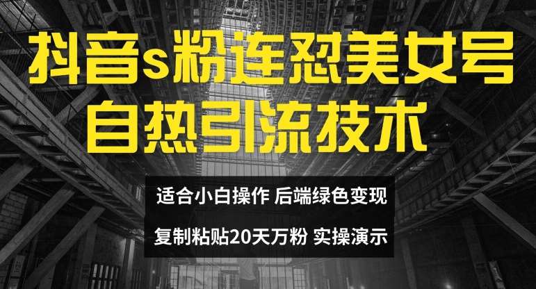 抖音s粉连怼美女号自热引流技术复制粘贴，20天万粉账号，无需实名制，矩阵操作【揭秘】插图