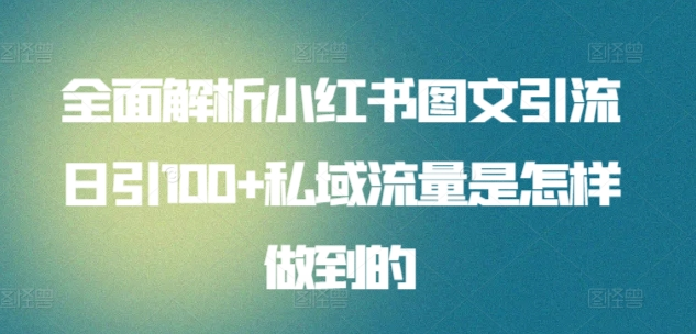 暴力引流 小红书图文引流日引100私域全面拆解【打粉人必看】插图